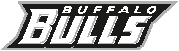 Buffalo Bulls 2007-Pres Wordmark Logo diy DTF decal sticker